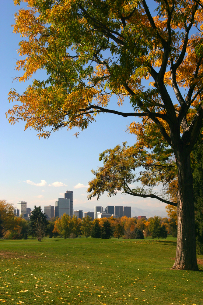 Best Parks For Smoking Cigars In Denver « Cigars On 6th